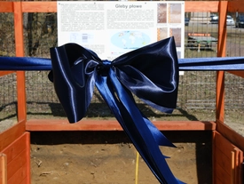 Otwarcie Demonstracyjnego Ogrodu Glebowego przy Collegium Geographicum