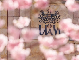 Budynki UAM